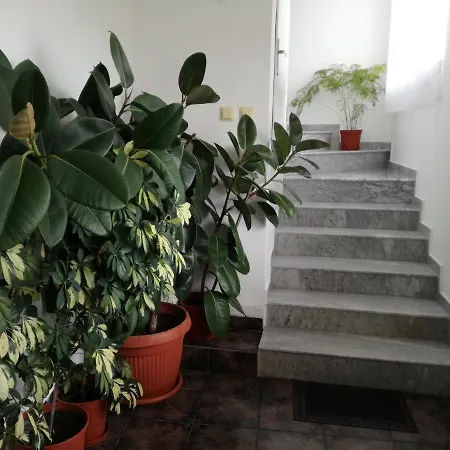 Tzonevi Pensionat 3*